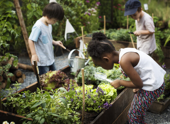 Kid in a garden experience and idea; outdoor learning