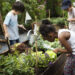 Kid in a garden experience and idea; outdoor learning