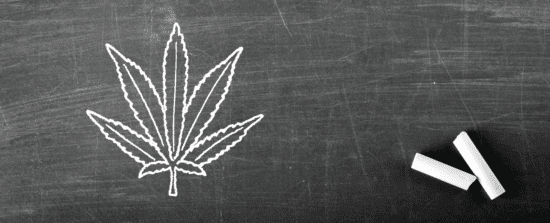 (Banner website image) Cannabis_ What are the risks for students_