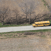 Autobus scolaire en région
