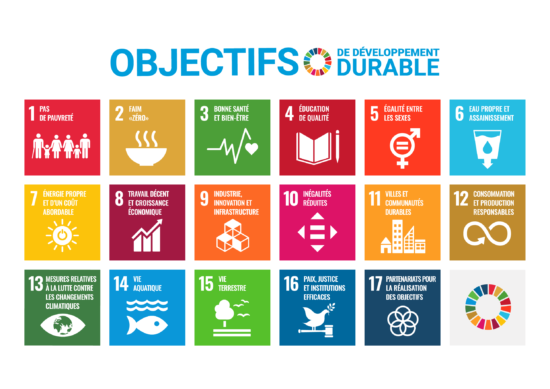 Une affiche démontrant les 17 Objectifs de développement durable.