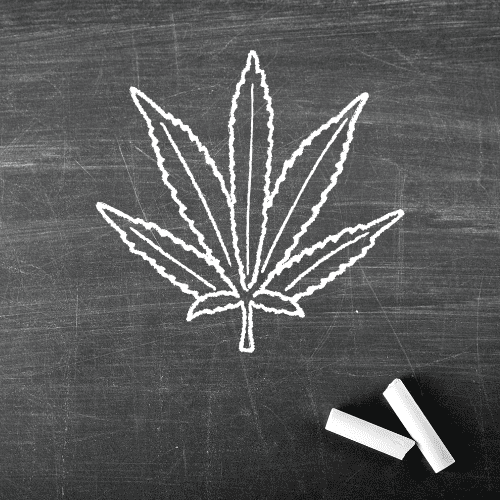 Cannabis_ What are the risks for students_