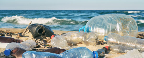 Plastic bottles are strewn on a beach.