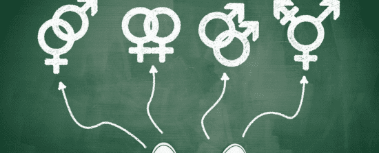 identité de genre et éducation sexuelle